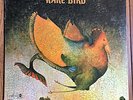 “RARE BIRD” psych prog LP PROBE gatefold orig ‘69 NM 1st press A1/B1