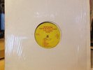 [EDM] [VARIOUS ARTISTS] VG LP HOUSE ACCAPELLAS VOLUME ONE [LaTour Ralphi Rosario