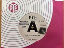 The  Kinks -  You Still Want Me b/w You do Something to Me UK promo PYE 7N 15636