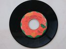 CARLTON AND THE SHOES - NEVER GIVE YOUR LOVE AWAY // VERSION / BLANK