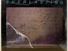 EVERLASTING Believe It LP 1983 JEMS PRIVATE Modern Jazz Soul Funk SEALED HEAR