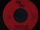 GINO & GENTLEMEN: Country Girl / You're Gonna Cry 45 rare Soul