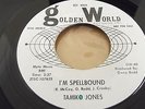 Northern Soul Mod Scooter SPELLBOUND Tamiko Jones Golden World Demo
