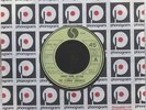 THE FLAMIN' GROOVIES - Shake Some Action - RARE UK SP - Sire
