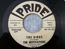 1963 GARAGE SURF INSTRUMENTALS--MOTIVATIONS--THE BIRDS / MOTIVATE--PRIDE 301, DJ