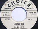 Rare Rockabilly Teener 45 - SANDY SCOTT - Mister Big - CHOICE WLP DJ COPY
