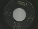 DOOWOP bw ROCKABILLY -- DREAMERS -- DONT CRY  -HEAR BOTH-1959 FLORIDA NUGGET