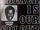 WAYNE WADE vinyl LP ? Black Is Our Colour color ? 1976  prophets original lp