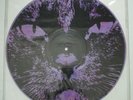 BABYLAND The Dogsnatcher EP FLIPSIDE NM Silk Screened Picture Disc