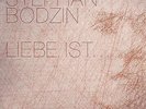 Stephan Bodzin ?– Liebe Ist..., 3 × Vinyl, 12