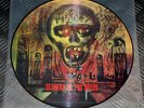 Slayer 'Seasons In The Abyss' LTD Edn Pic LP Picture Disc Vinyl Record NM Thrash