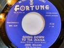 Andre Williams - Going down to Tia Juana / Pulling time