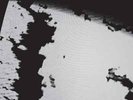 PLACE TO BURY STRANGERS-EXPLODING HEAD  VINYL LP NEUF