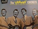 The CHIRPING CRICKETS BL 54038 Brunswick ORIGINAL/Buddy Holly/BULLOCK Very Nice