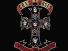 Guns N' Roses - Appetite For Destruction [LP] (180 Gram Vinyl) Sealed