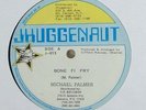 Michael Palmer 