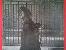 NEIL YOUNG After The Gold Rush LP Vinyl VG++ Cover VG+ GF Reprise RS 6383