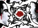 LP - Red Hot Chili Peppers - Blood Sugar Sex Magik - EAN: 0093624954163 - 2012