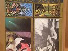SONIC YOUTH - SISTER LP-  RARE OZ AUSSIE AU-GO-GO- BANNED ARTWORK