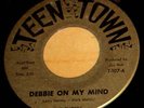 PRIVATE 1960s WI Teen Garage 45 - THE TYGERS 