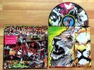 Yeah Yeah Yeahs - 'Fever To Tell', Vinyl First Pressing, Picture Disc, VERY RARE