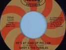 SANDY & THE PEBBLES: He’s My Kind of Fellow MERCURY Northern Soul 45 VG++ HEAR