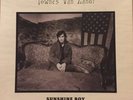 Townes Van Zandt Sunshine Boy 3x LP Vinyl Box - RSD RARE NM