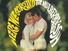 THE SPENCER DAVIS GROUP / TRAFFIC Here We Go Round The Mulberry Bush Vinyl LP