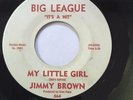 RARE UNKNOWN NEW BREED SOUL 45/ JIMMY BROWN 