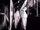 Thursday - Common Existence  2009 [Vinyl New]