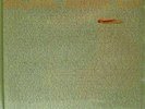 ALICE COOPER - ZIPPER CATCHES SKIN - LP SEALED