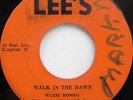 Hold You Jack DERRICK MORGAN Walk in the Dawn MAXIE ROMEO Rare LEE'S 45 + BONUS