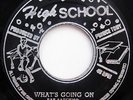 Pat Satchmo / Lloyd & Kerry WHAT'S GOING ON Reggae Soul 45 High School hear