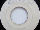 BLEECHERS Adam & Eve / JACKIE BROWN Send Me The Pillow LEE PERRY '70 Rare 45