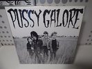 PUSSY GALORE Groovy Hate Fuck LP Jon Spencer