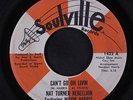 NAT TURNER REBELLION: Can't Go On Livin / Laugh To Keep From Crying 45 (plays o