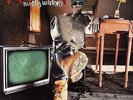 Redman - Muddy Waters '96 2xLP US ORG Method Man K-Solo