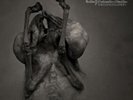 The Congregation [VINYL], 5052205071311, Leprous