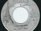 FL Garage Lonely Souls PARIS TOWER 137 I can't stop now / The paths of my mind ?