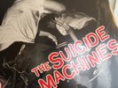 Punk Rock Record Lot Suicide Machines Whippersnapper Joykiller Hepcat & More