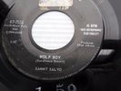 SAMMY SALVO 1959 Teen bopper 45 WOLF BOY MY PERFECT LOVE on RCA Victor w6352
