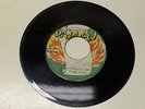 Bright Wynter - Words Of Fire [Fullfilment Of Prophecy] ? VG-