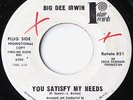 R & B Northern Soul 45 – BIG DEE IRWIN - You Satisfy My Needs - ROTATE WLP