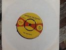 Tim Whitsett 'Macks by the Tracks' vinyl single