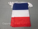 GUIRLANDE 12 mètres 20 DRAPEAUX FRANCE 45x30 cm - DRAPEAU FRANÇAIS 30 x 45 cm -