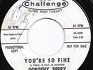 Northern Soul 45 DOROTHY BERRY You're So Fine/Cryin' On My Pillow GA Challenge