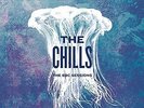 The BBC Sessions [VINYL] The Chills Vinyl