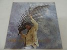 Andy Lau ??? - The Answer Is You 1993 Korea LP / Sealed New
