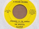 APOSTLES: Stranded In The Jungle 45 A² garage fuzz hear