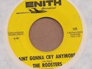 THE ROOSTERS: Aint Gonna Cry Anymore 45 Enith garage hear